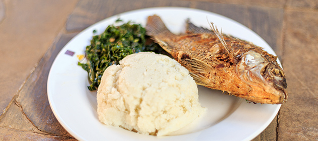 Ugali