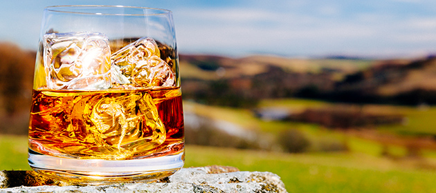 Whiskey