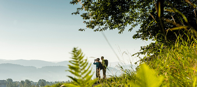 Bayerischer Wald