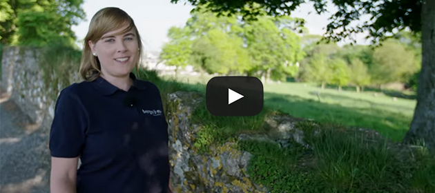 Reisevideo Irland